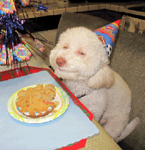 th_BirthdayPupSmileWag.gif